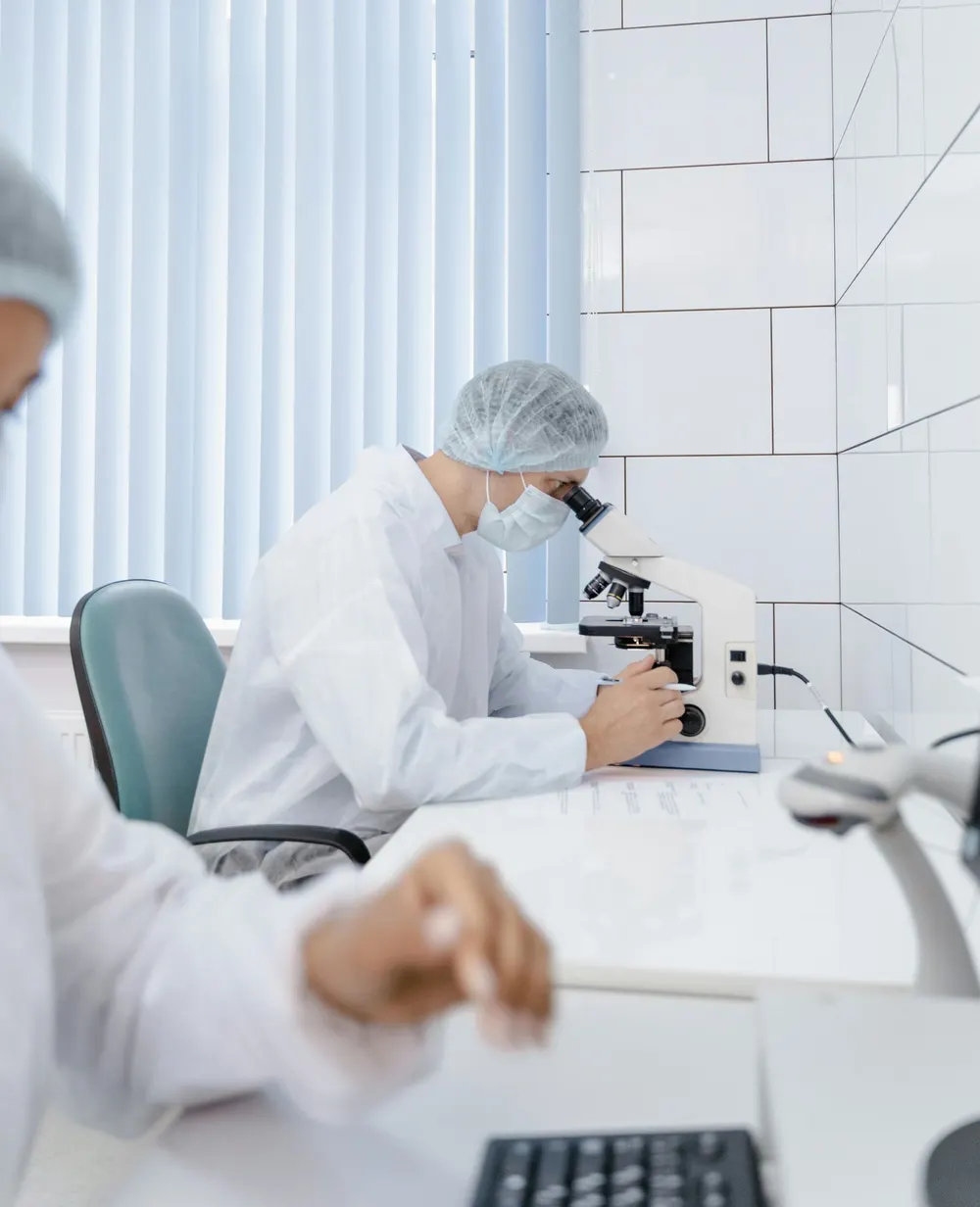 Lab scientist in a hairnet examining a mold sample under a microscope