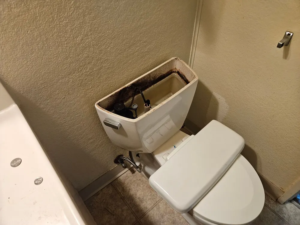 Mold growth inside the top of a toilet tank in a residential bathroom